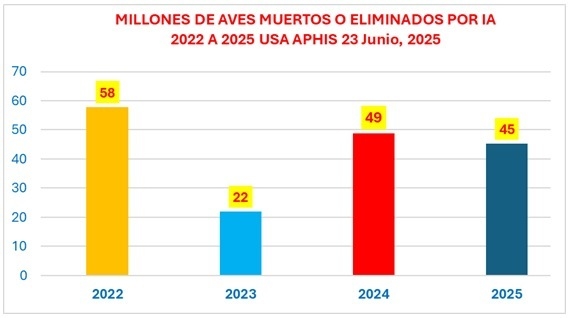 Preparación de instalaciones avícolas previo a la recepción de nuevos lotes de pollitos - Image 9
