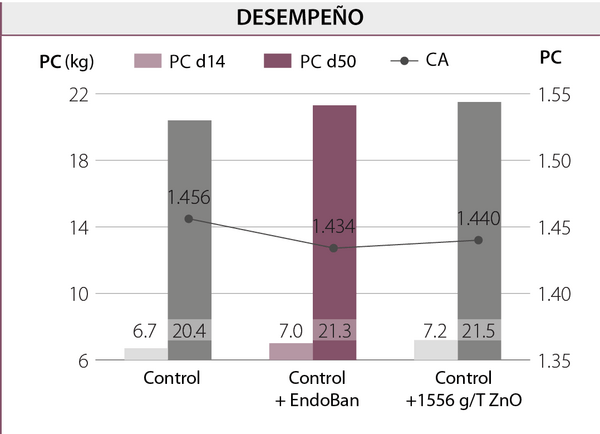 Más allá del óxido de zinc (ZnO): ¿cómo criar lechones robustos para superar con éxito los retos del destete? Soluciones nutricionales sostenibles para mejorar la resiliencia frente al estrés postdestete - Image 2