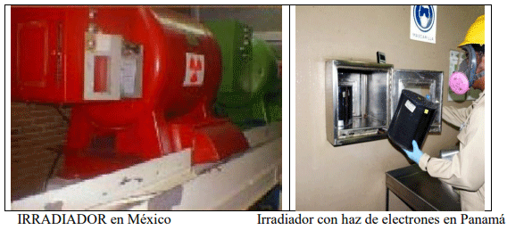 La plaga del gusano barrenador del ganado - Image 22