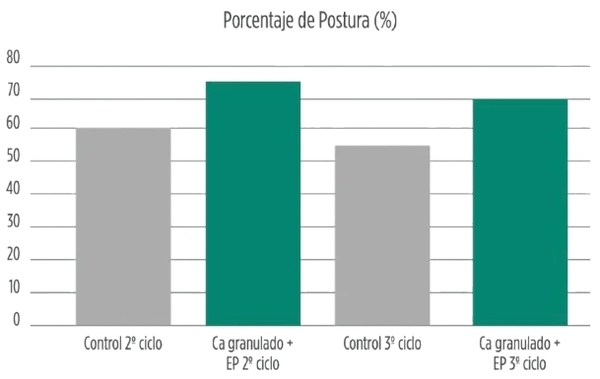 Estrategias para mitigar el estrés calórico en producción animal - Image 2