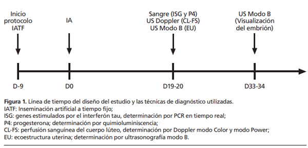 Figura 1. Línea de tiempo del diseño del estudio y las técnicas de diagnóstico utilizadas.