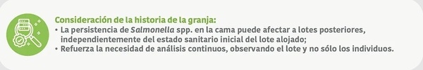 Cómo evaluar correctamente la reducción de Salmonella spp. en pollos de engorde - Image 7