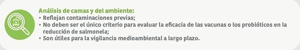 Cómo evaluar correctamente la reducción de Salmonella spp. en pollos de engorde - Image 6
