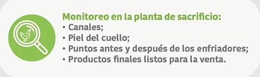 Cómo evaluar correctamente la reducción de Salmonella spp. en pollos de engorde - Image 5