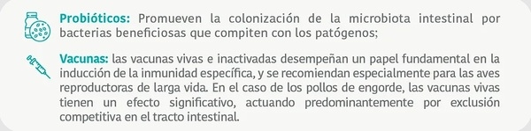 Cómo evaluar correctamente la reducción de Salmonella spp. en pollos de engorde - Image 3