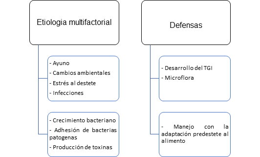 FIGURA 5. Factores que desencadenan la diarrea pos-destete (Souza et al. 2010)