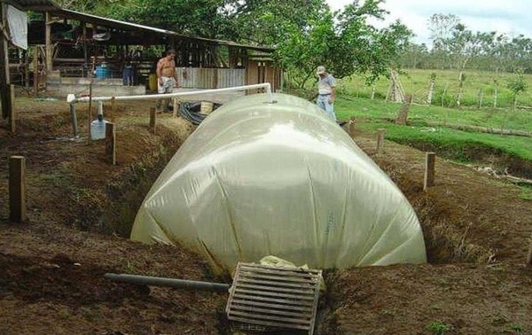 ALTERNATIVAS Y MANEJO DE ABONOS ORGÁNICOS PARA MEJORAR LA PRODUCCION DE CACAO - Image 3