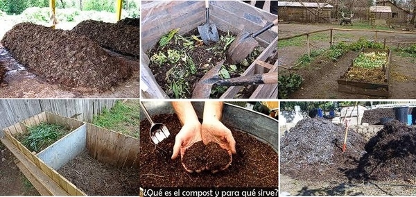 ALTERNATIVAS Y MANEJO DE ABONOS ORGÁNICOS PARA MEJORAR LA PRODUCCION DE CACAO - Image 5