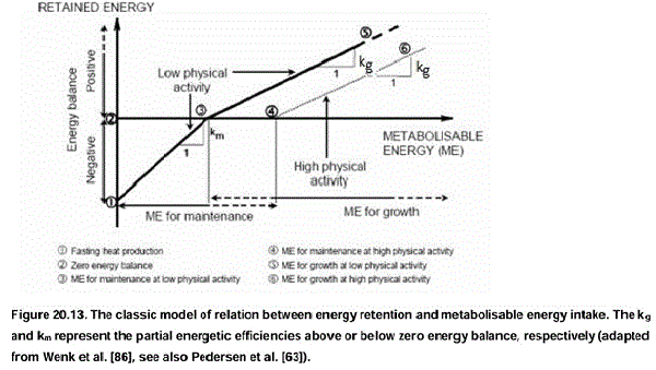 Descripción del Fraccionamiento energético en Cerdos, Costos y Oportunidades - Image 1