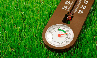 Estrés térmico en porcino: estrés por calor en cerdos y sus soluciones. - Image 2