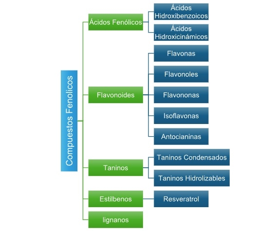 Taninos y Flavonoides en Avicultura: Dos Alternativas Fitobióticas para la salud Intestinal y el mejor desempeño zootécnico - Image 1