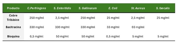 Taninos y Flavonoides en Avicultura: Dos Alternativas Fitobióticas para la salud Intestinal y el mejor desempeño zootécnico - Image 2