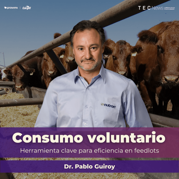 Dominar el Consumo: La Clave Invisible de la Eficiencia en Feedlot - Image 2