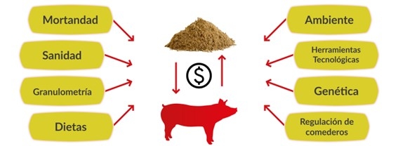 Índice de conversión alimenticia: cómo afecta la rentabilidad de tu establecimiento - Image 3