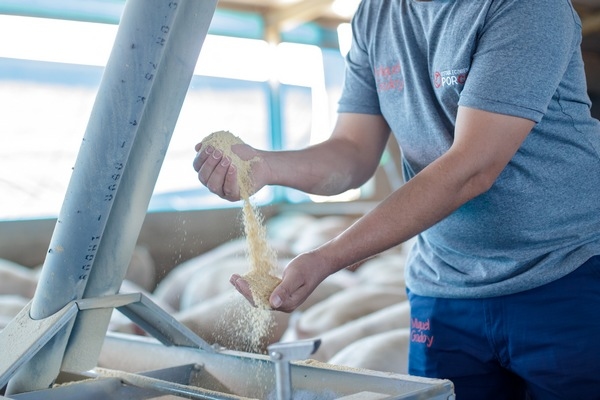 Índice de conversión alimenticia: cómo afecta la rentabilidad de tu establecimiento - Image 1