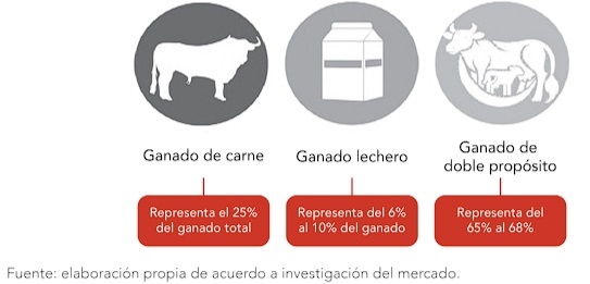Guatemala: El sector en cifras, datos previos - Image 2