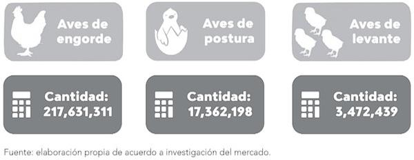 Guatemala: El sector en cifras, datos previos - Image 1