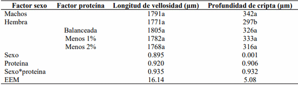 Efecto de dietas bajas en proteína suplementadas con aminoácidos sobre el comportamiento productivo, rendimiento de la canal e integridad intestinal en pollos - Image 3