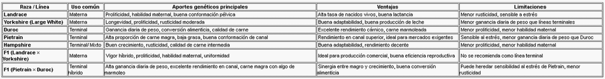 El legado genético de la cerda - Image 1