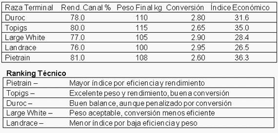 Estudio económico de la genética - Image 1