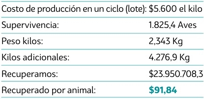 Identificación y ubicación geográfica de cepas variantes del virus de la Bronquitis Infecciosa en aves comerciales con un estudio de la mortalidad en pollos de engorde entre diferentes protocolos de vacunación contra VBI en Colombia durante 2024 - Image 10