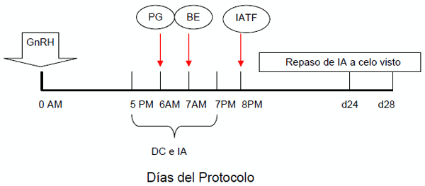 Comparación de tres métodos de sincronización de celos y ovulaciones con y sin inseminación artificial a tiempo fijo (IATF) en vaquillonas para carne - Image 5