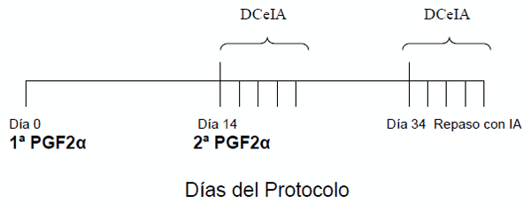 Comparación de tres métodos de sincronización de celos y ovulaciones con y sin inseminación artificial a tiempo fijo (IATF) en vaquillonas para carne - Image 7