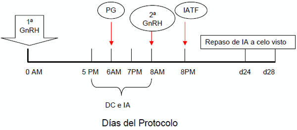 Comparación de tres métodos de sincronización de celos y ovulaciones con y sin inseminación artificial a tiempo fijo (IATF) en vaquillonas para carne - Image 4