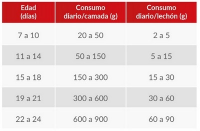 Creep Feeding en Lechones: Estrategia Nutricional Clave para Optimizar el Desempeño Post-Destete - Image 3
