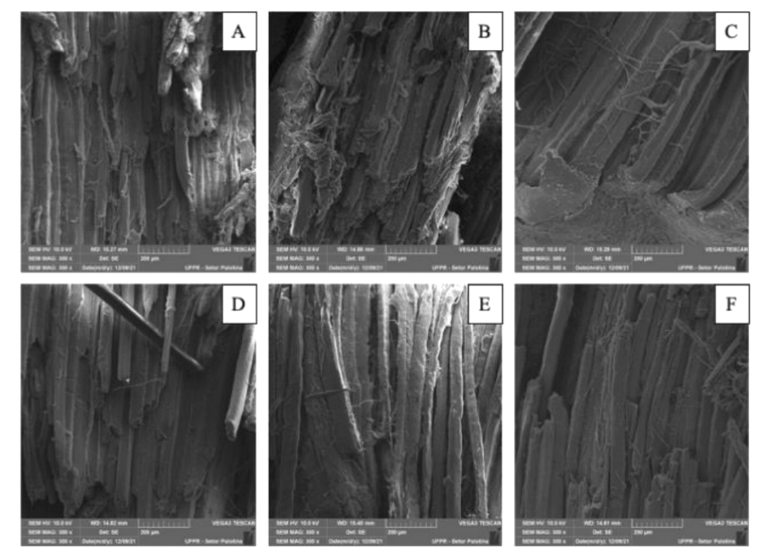 Efecto de una mezcla microencapsulada de ácidos orgánicos y compuestos bioactivos sobre la calidad y la evaluación visual de la carne de pollo de engorde - Image 3