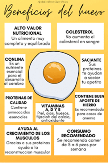 El Huevo Poderoso, El alimento más completo y accesible del planeta - Image 3