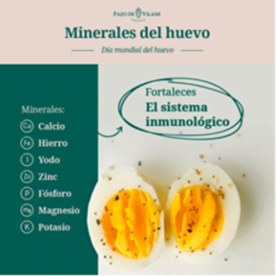 El Huevo Poderoso, El alimento más completo y accesible del planeta - Image 2