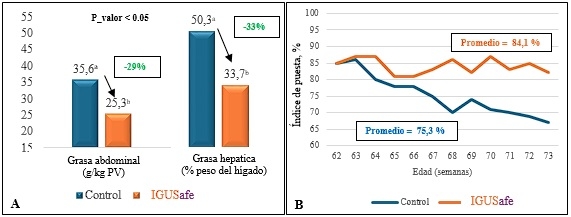 IGUSafe como herramienta nutricional frente síndrome del hígado graso hemorrágico en gallinas ponedoras - Image 5