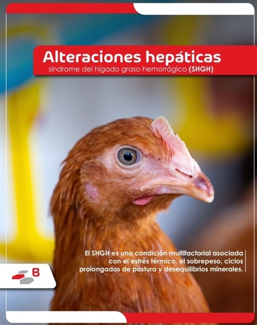 Efectos de la silimarina en la actividad ovárica y en la producción de gallinas - Image 1