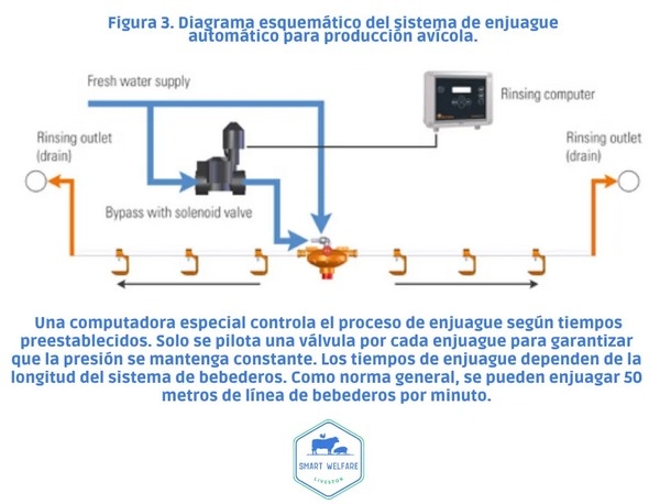 Protocolo de limpieza para prevenir el biofilm en granjas avícolas - Image 3