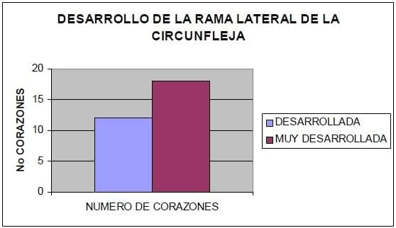 Circulación de la cara caudal del corazón canino: Región quirurgica de la Hemianuloplastia mitral - Image 5