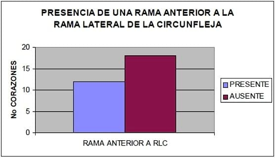 Circulación de la cara caudal del corazón canino: Región quirurgica de la Hemianuloplastia mitral - Image 8