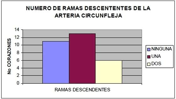 Circulación de la cara caudal del corazón canino: Región quirurgica de la Hemianuloplastia mitral - Image 6