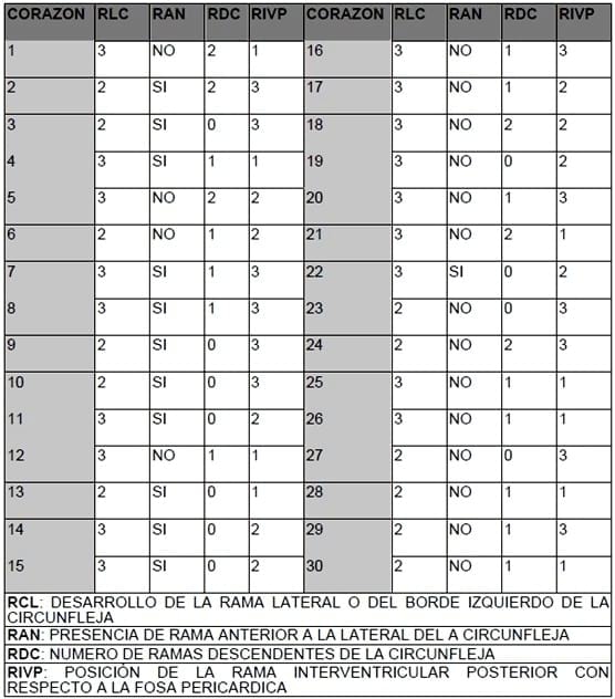 Circulación de la cara caudal del corazón canino: Región quirurgica de la Hemianuloplastia mitral - Image 4