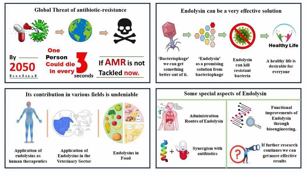 Capacidad única de la endolisina para combatir la resistencia a los antibióticos: Rompiendo la barrera - Image 1