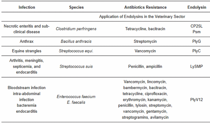 Capacidad única de la endolisina para combatir la resistencia a los antibióticos: Rompiendo la barrera - Image 3