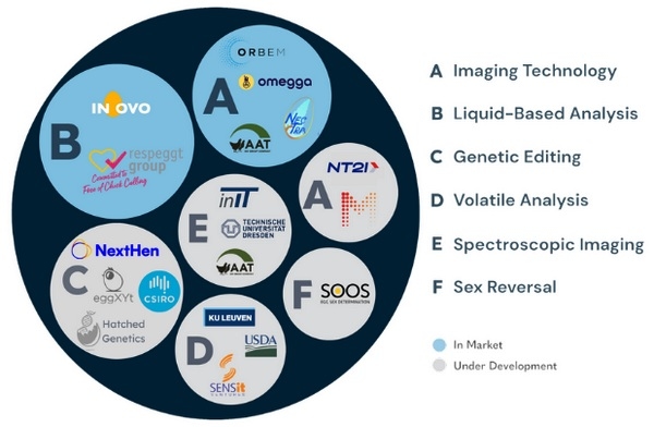 Determinación del sexo in ovo - Image 3