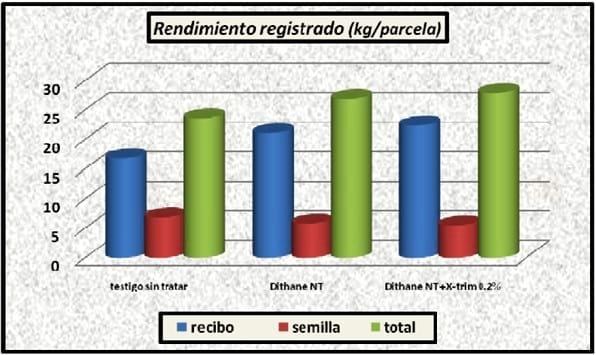 Control Químico del Tizón Tardío de la Papa (Phytophthora infestans) - Image 9