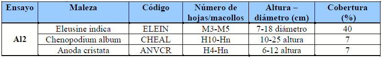Utilización del coadyuvante siliconado como activador de glifosato sobre el control de malezas en soja de primera en siembra directa - Image 7