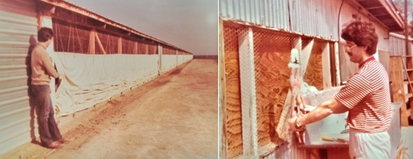 Reflexiones a los 70 años: 100 artículos y una vida de aprendizajes con 70 observaciones sobresalientes - Image 1