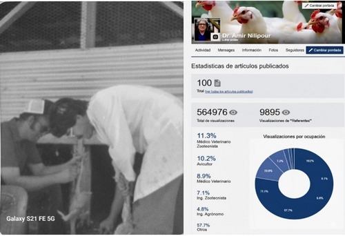 Reflexiones a los 70 años: 100 artículos y una vida de aprendizajes con 70 observaciones sobresalientes - Image 1