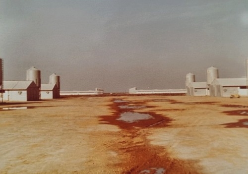 Reflexiones a los 70 años: 100 artículos y una vida de aprendizajes con 70 observaciones sobresalientes - Image 1