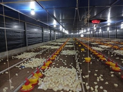 Reflexiones a los 70 años: 100 artículos y una vida de aprendizajes con 70 observaciones sobresalientes - Image 2