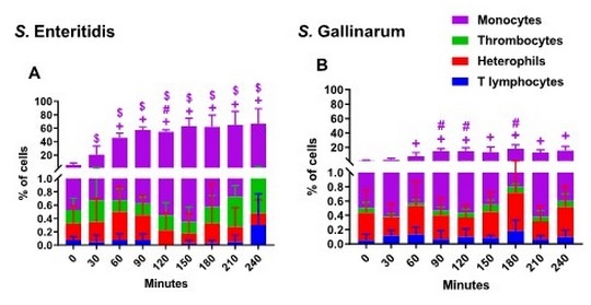 Evaluación de la inmunidad cruzada generado por la vacuna de Salmonella Enteritidis (deriva metabólica) frente a desafíos con Salmonella Gallinarum (parte II) - Image 1