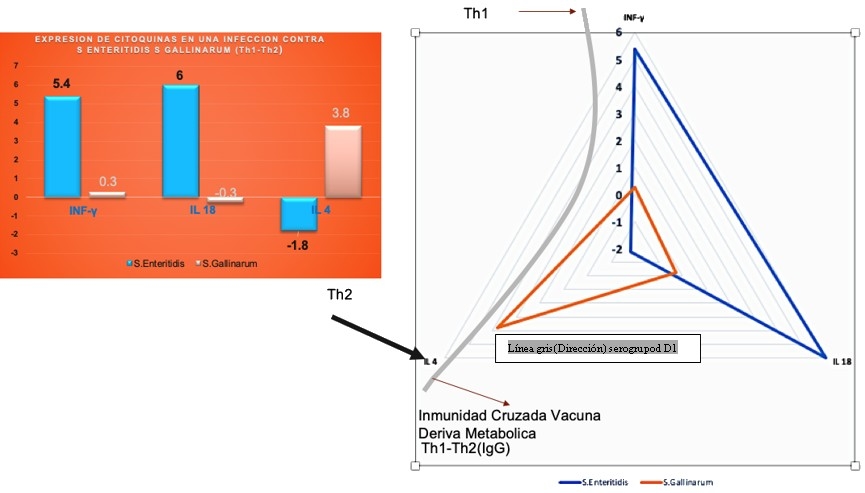 Evaluación de la inmunidad cruzada generado por la vacuna de Salmonella Enteritidis (deriva metabólica) frente a desafíos con Salmonella Gallinarum (parte II) - Image 1